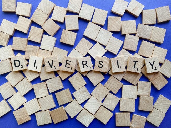 diversity-5351038_960_720.jpg Private Equity